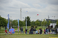 Venice kite festival_0538